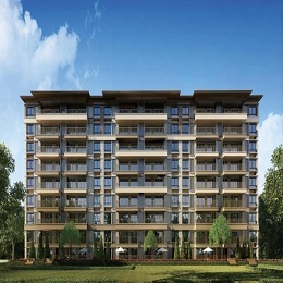 �K���b�޹�˾���K���b�˾